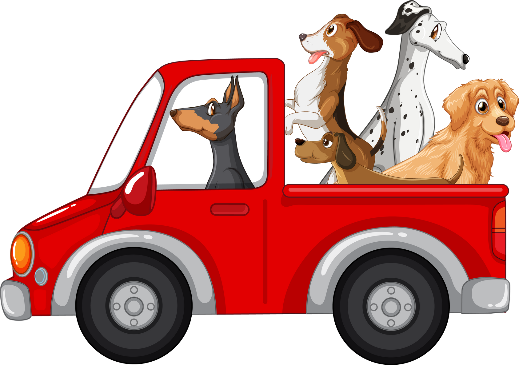 Dogs Driving a Car on White Background